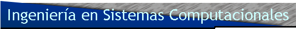 Ingenieria en Sistemas Computacionales